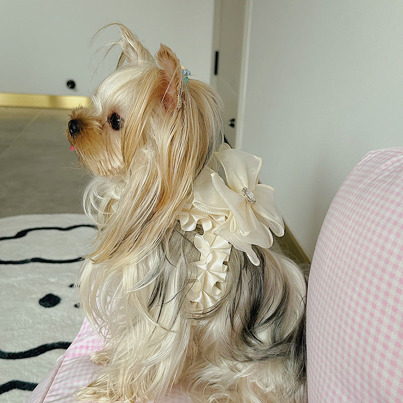 Hundegeschirr mit Leine und Fliege – Bild 4 | LuxeStyle
