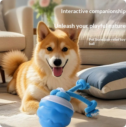 Interaktiver Spielball für Hunde, wiederaufladbar