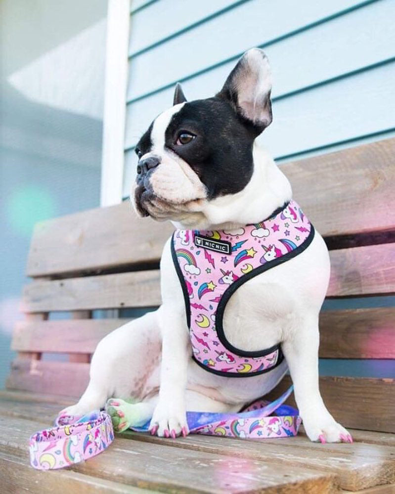 Brustgeschirr für Hunde – Polyester – Bild 17 | LuxeStyle