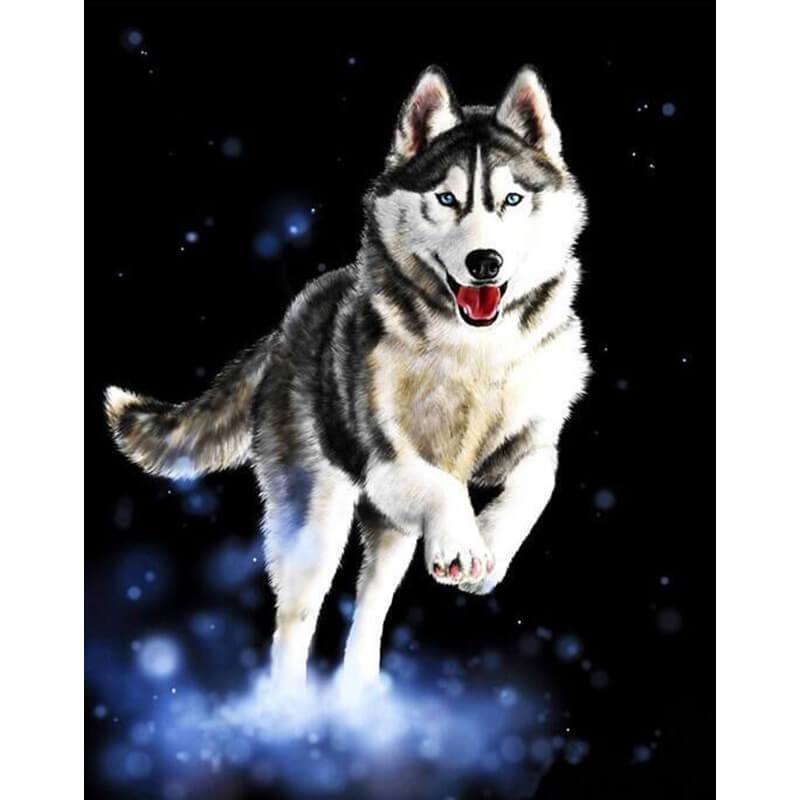 Huskie Diamond Painting | LuxeStyle