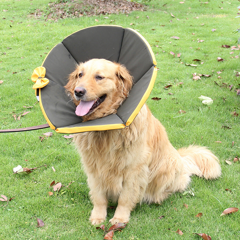 Hundehalskrause für die Genesung – Bild 4 | LuxeStyle