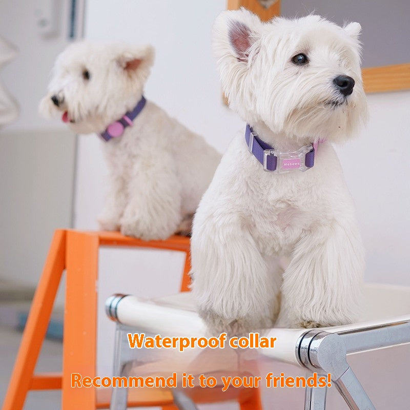 Hundehalsband und Leine – Bild 4 | LuxeStyle
