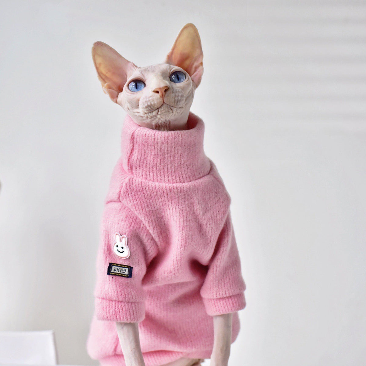 Dicker Warmmantel für haarlose Katzen – Pink – Bild 4 | LuxeStyle