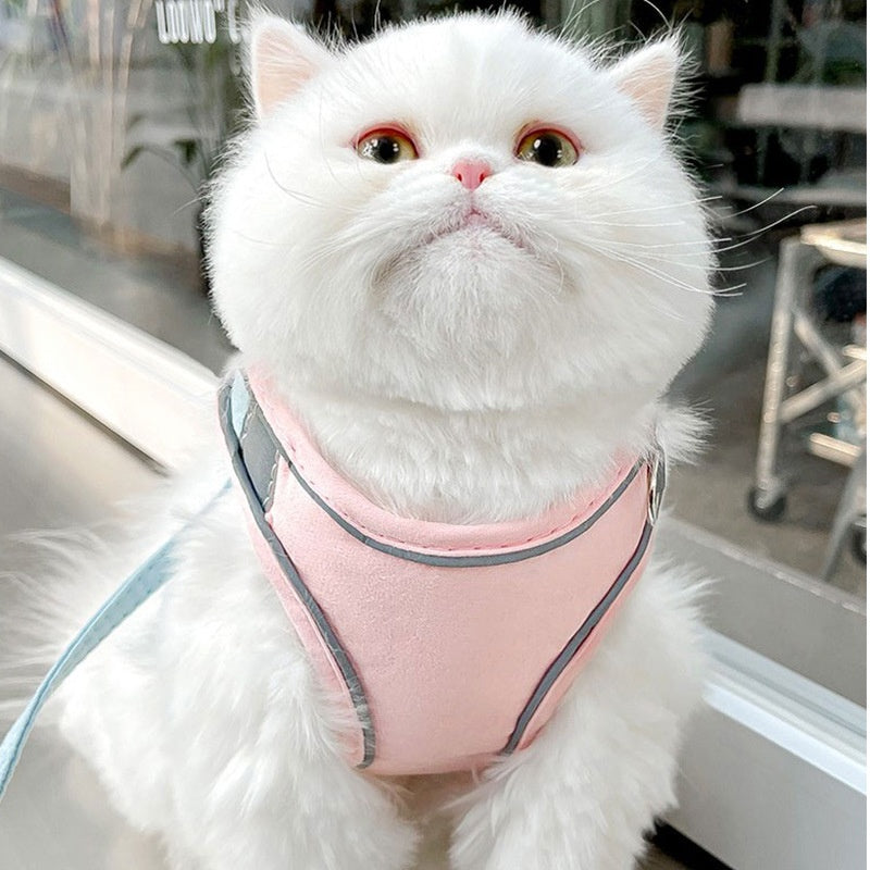 Katzen-Zugseil-Brustgurt mit Reflektor