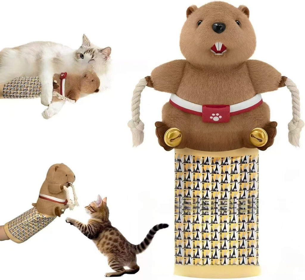 Katzen-Spielhandschuh für interaktives Spielen – Bild 3 | LuxeStyle