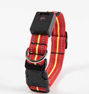 Leuchtendes Hunde-Halsband – Bild 3 | LuxeStyle