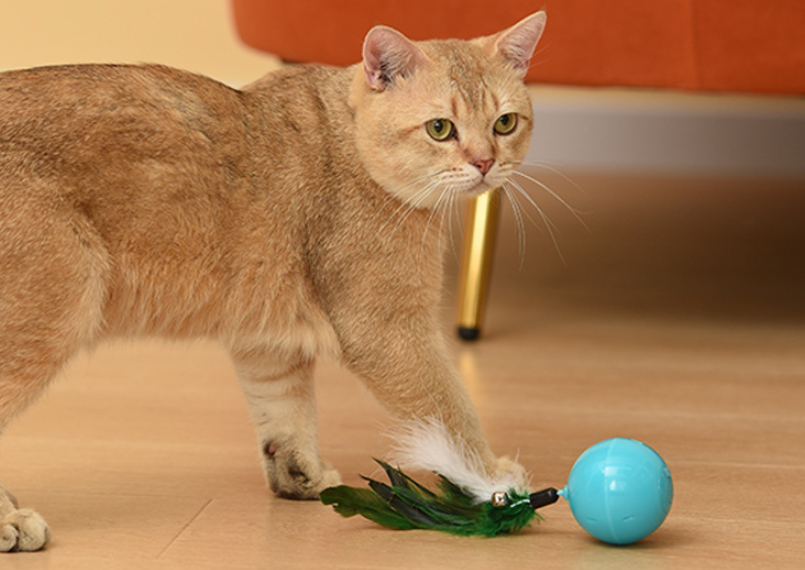 Interaktiver Katzenball mit Ladestation – Bild 2 | LuxeStyle