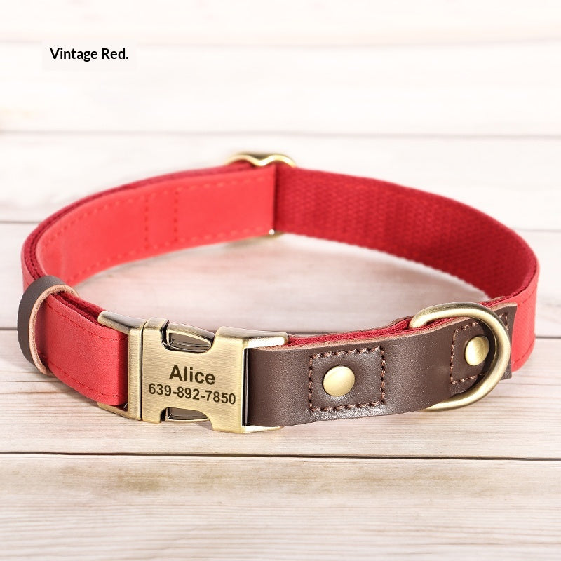 Halsband für mittelgrosse Hunde