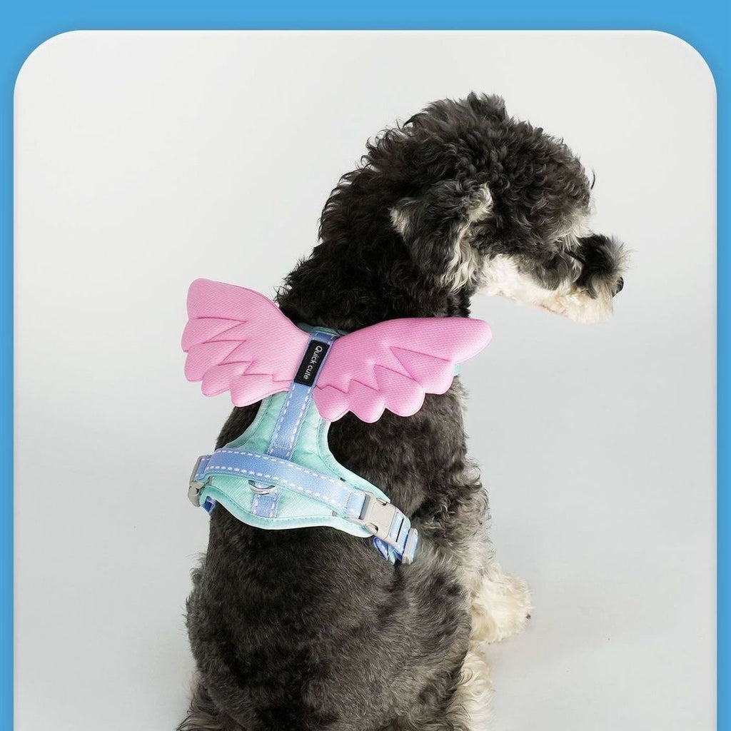 Hundegeschirr mit Engelsflügeln und Leine – Bild 3 | LuxeStyle
