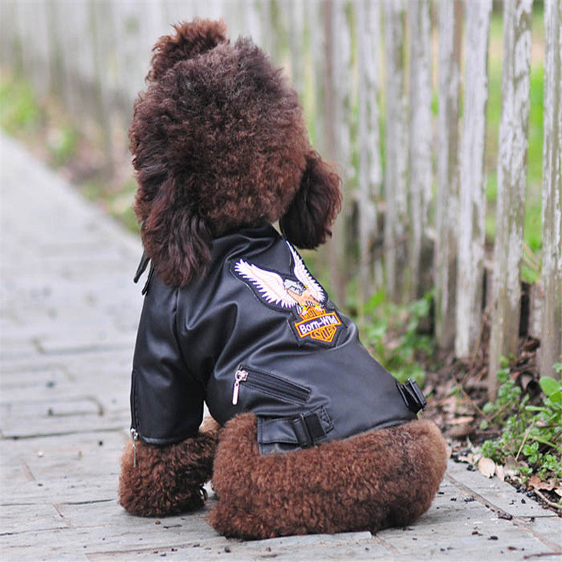 Hunde Lederjacke mit Adler-Stickerei
