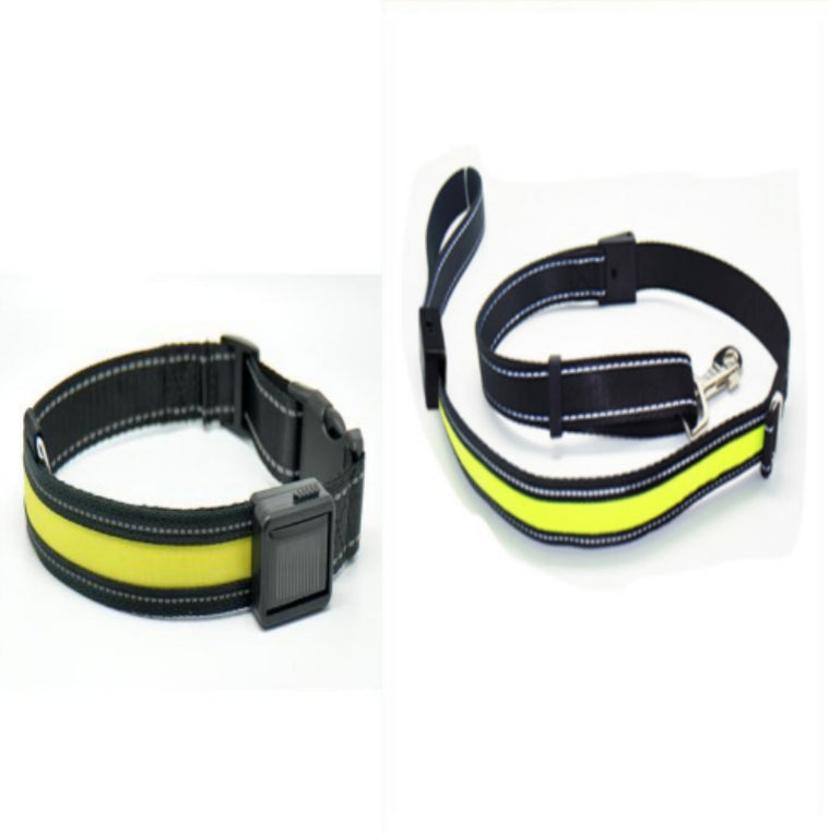 Leuchtendes Hundehalsband mit Solar- und USB-Ladefunktion – Bild 18 | LuxeStyle