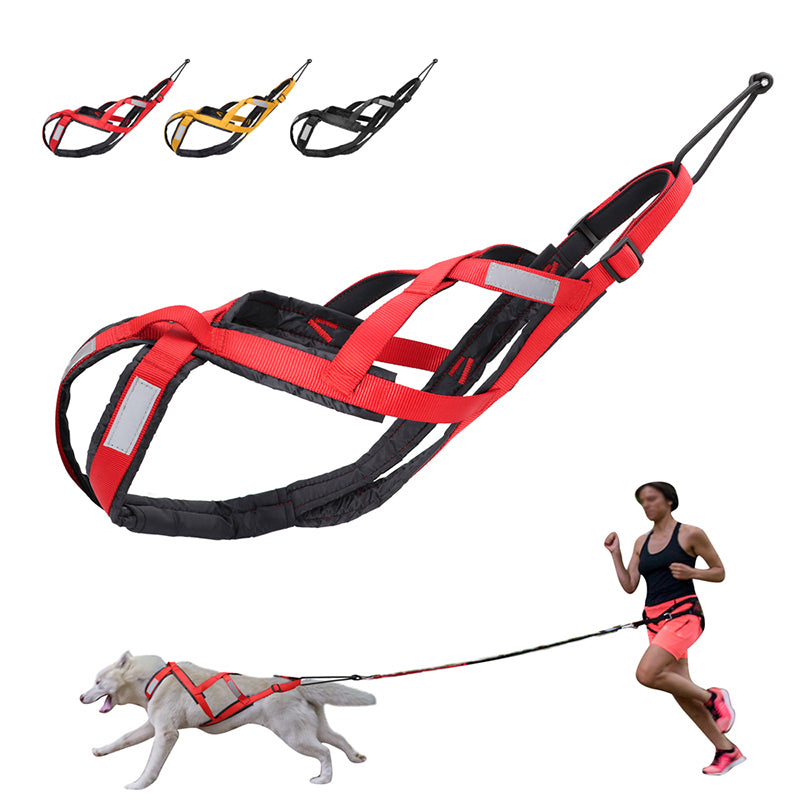 Hundegeschirr für Zugwagen – Bild 3 | LuxeStyle