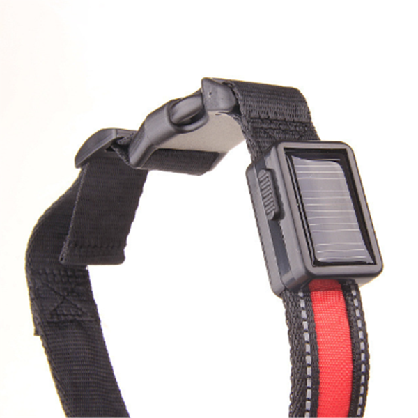 Leuchtendes Hundehalsband mit Solar- und USB-Ladefunktion – Bild 11 | LuxeStyle