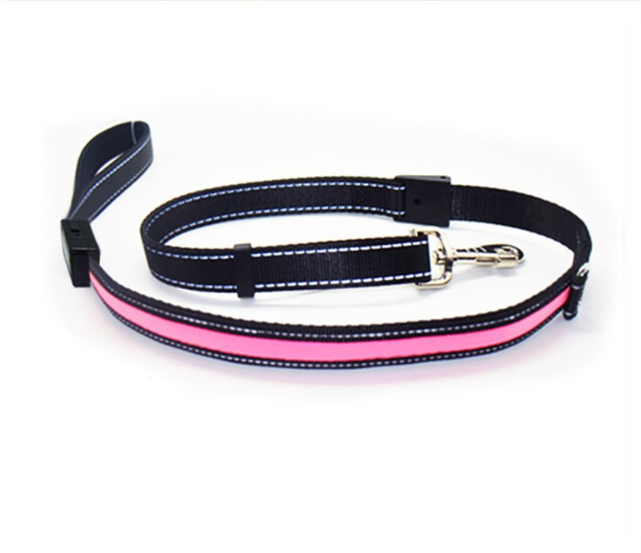 Leuchtendes Hundehalsband mit Solar- und USB-Ladefunktion – Bild 4 | LuxeStyle