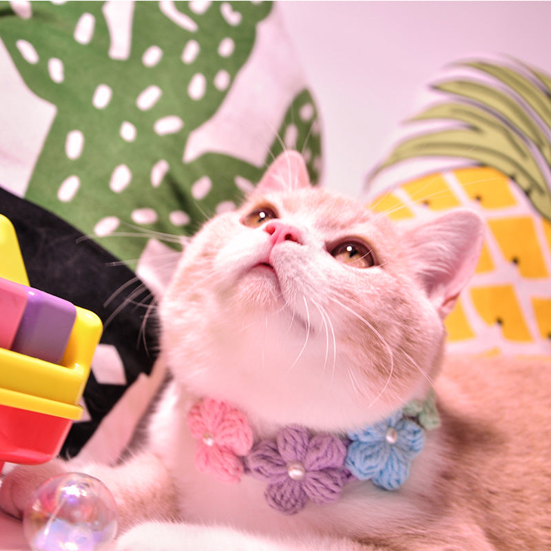 Glockenhalsband aus Wolle für Katzen – Bild 4 | LuxeStyle