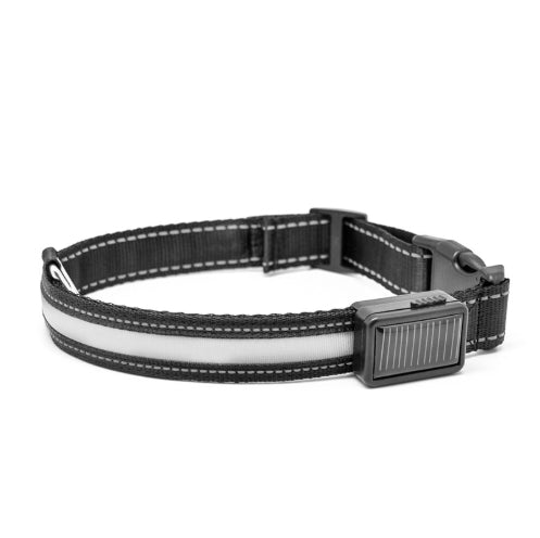 Leuchtendes Hundehalsband mit Solar- und USB-Ladefunktion – Bild 15 | LuxeStyle