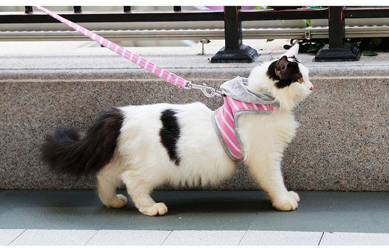 Katzenhalsband mit Kapuzenvest – 2 Grössen – Bild 5 | LuxeStyle
