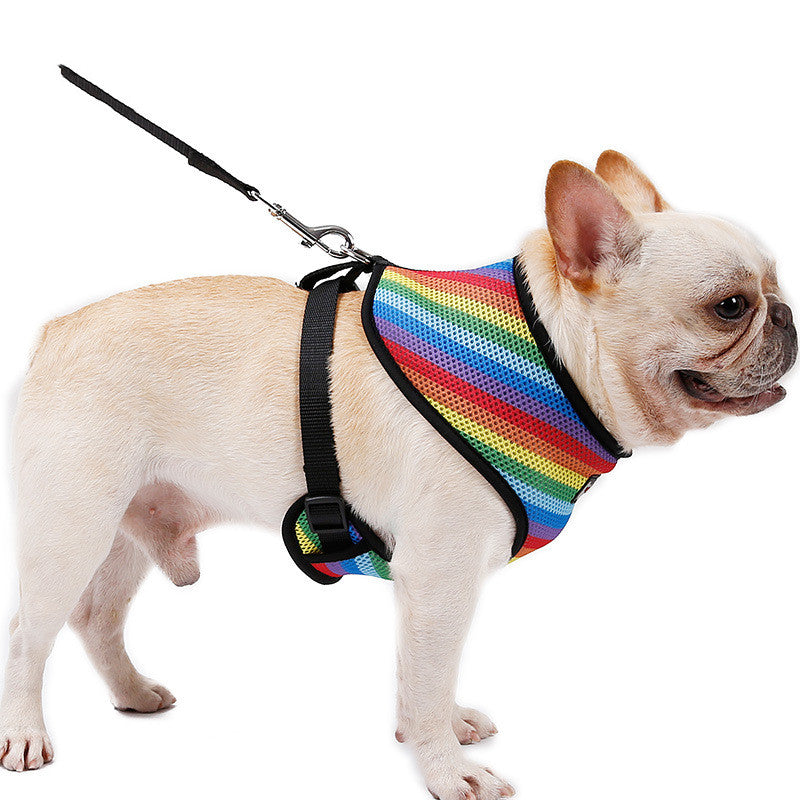 Regenbogen Brustgeschirr für Haustiere – Bild 11 | LuxeStyle