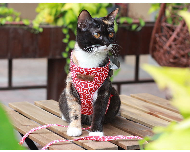 Katzen-Zugleine aus Polyester-Canvas – Bild 9 | LuxeStyle