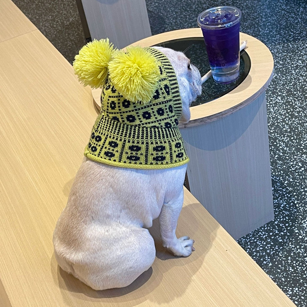 Winterpullover für Hund & Katze – Bild 4 | LuxeStyle