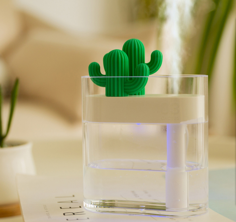 Transparenter Kaktus Luftbefeuchter | LuxeStyle