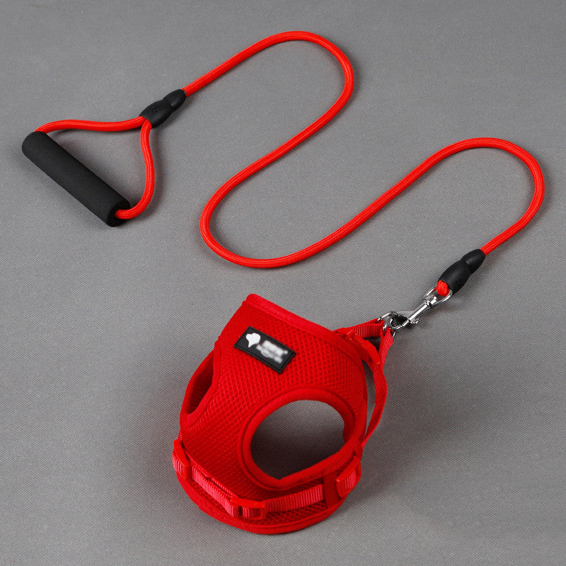 Hundeleine mit Halsband-Set