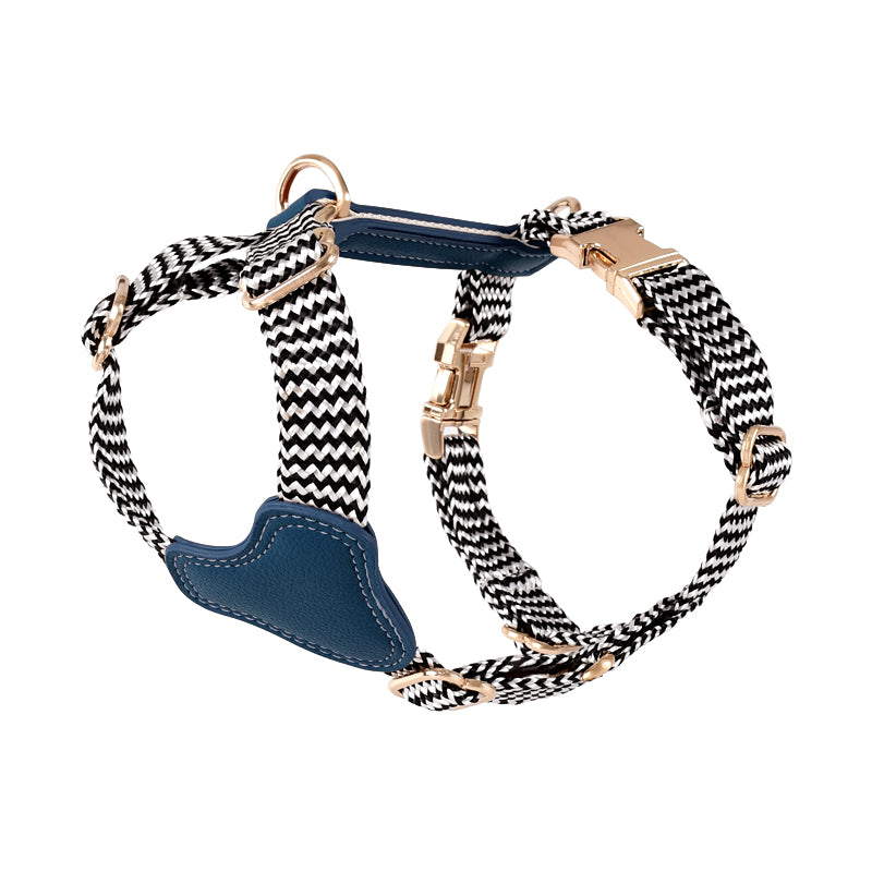 Halsband oder Brustgeschirr mit Leine für Hunde – Bild 4 | LuxeStyle