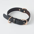Lederhalsband für mittelgrosse bis grosse Hunde – Bild 2 | LuxeStyle