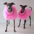 Plüsch Hundepullover einfarbig | LuxeStyle