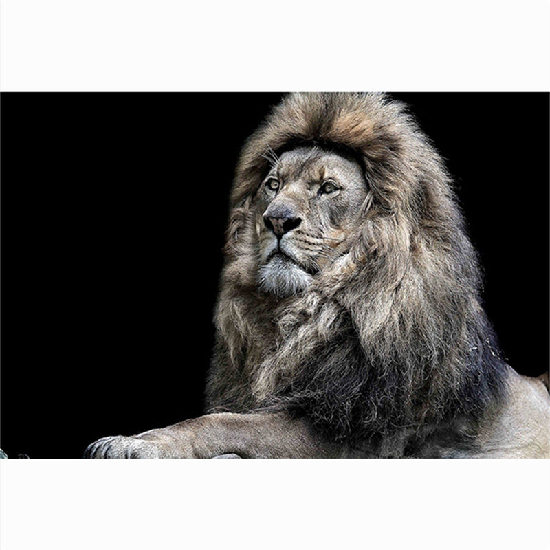 Leinwandbild Tigerkopf Schwarz-Weiss – Bild 7 | LuxeStyle