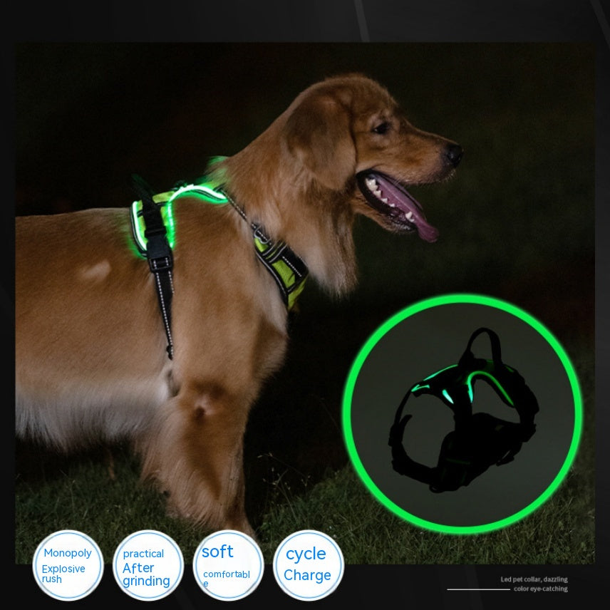 LED-Leuchtweste für Hunde und Katzen – Bild 6 | LuxeStyle