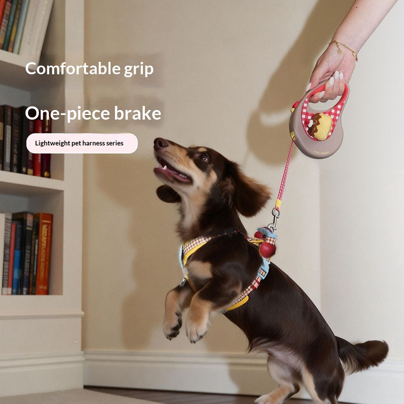 Zughundeseil für kleine und mittlere Hunde