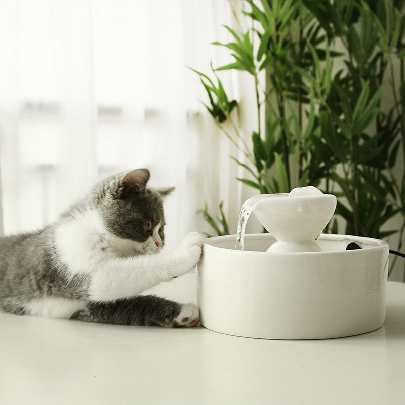 Katzen Trinkschüssel mit automatischer Zirkulation – Bild 2 | LuxeStyle