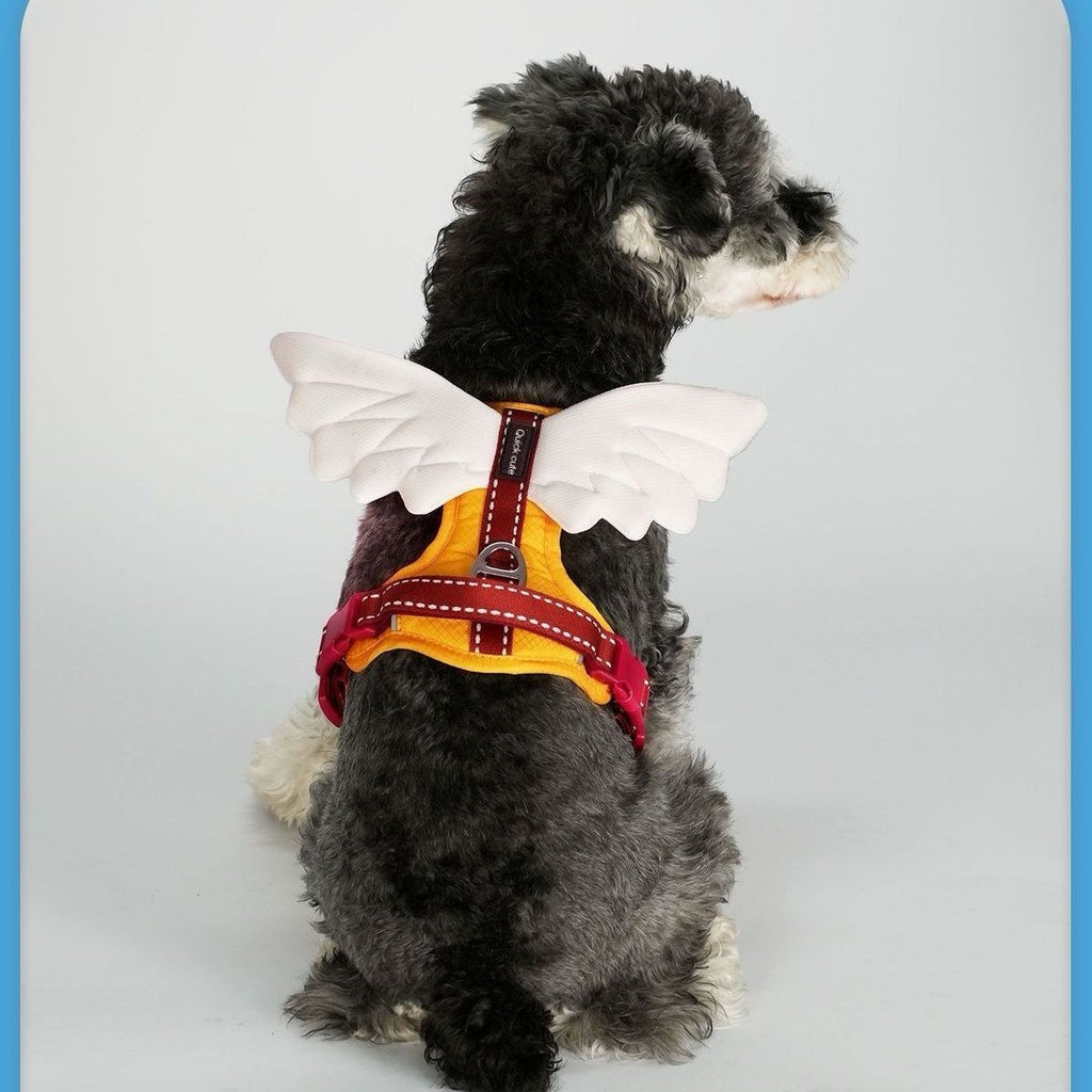 Hundegeschirr mit Engelsflügeln und Leine – Bild 7 | LuxeStyle