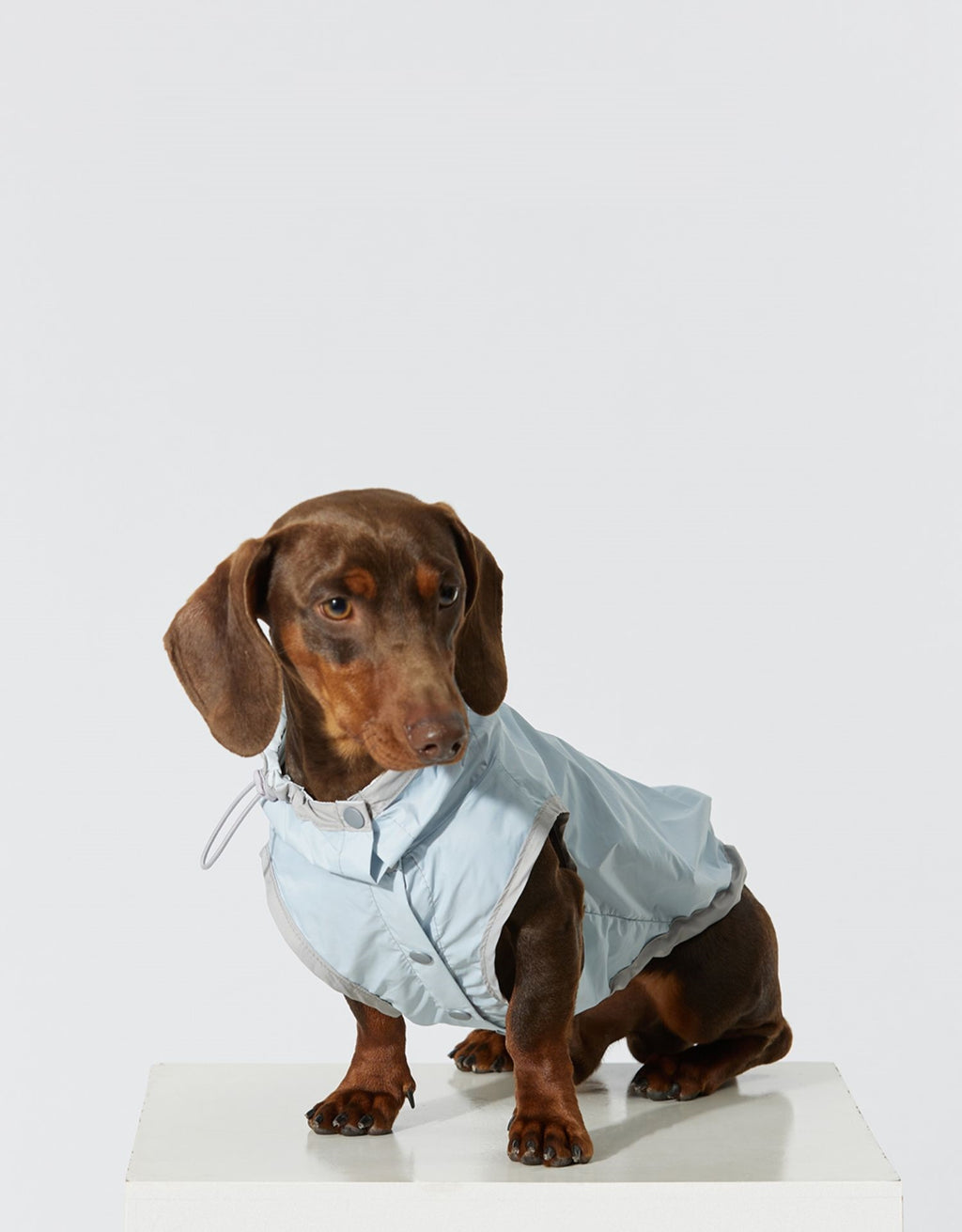 Dünne Hunde-Weste Regenjacke