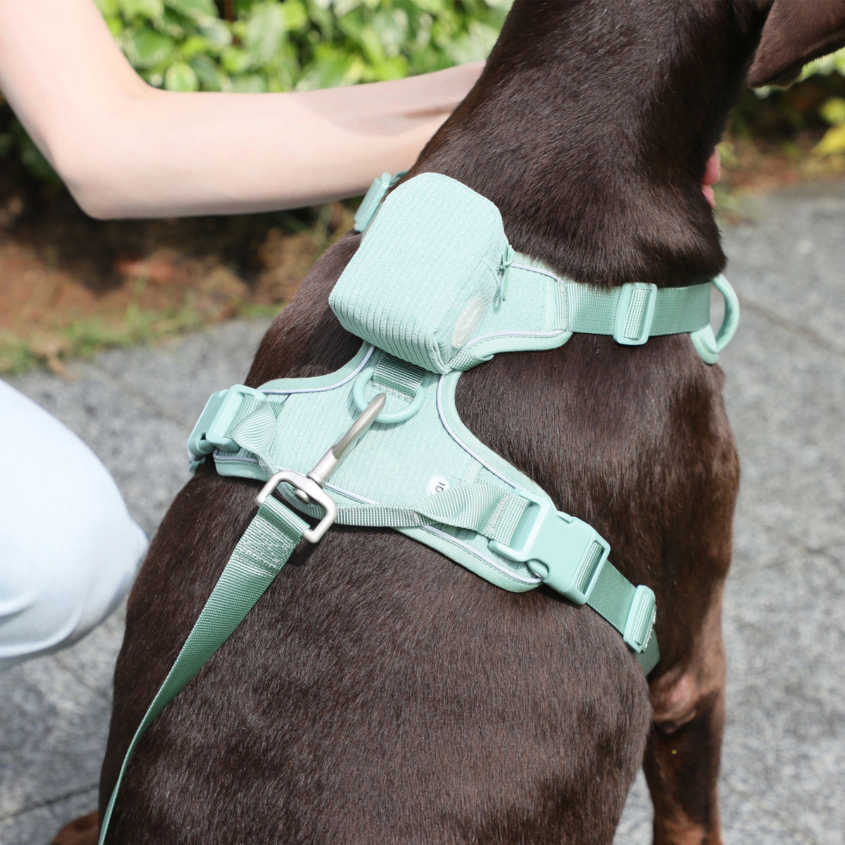 Hundegeschirr-Set mit Leine und Tasche – Bild 2 | LuxeStyle