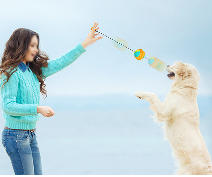 Wurfball mit Seil für Hunde & Katzen – Bild 1 | LuxeStyle