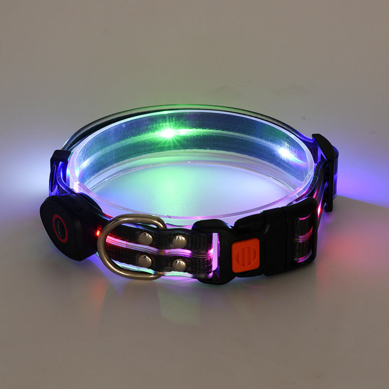 LED Leuchtcollar mit Zugleine, wiederaufladbar – Bild 8 | LuxeStyle
