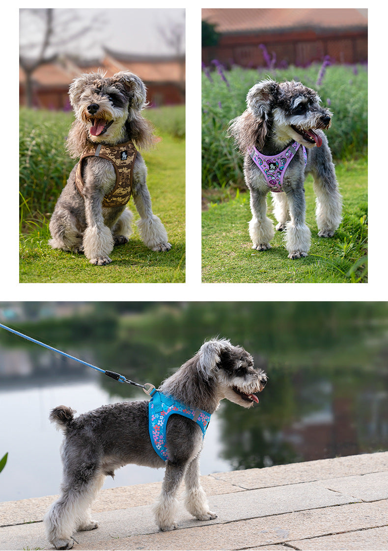 Hunde-Brustgeschirr mit Leine, atmungsaktiv – Bild 13 | LuxeStyle