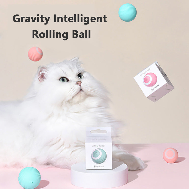 Intelligenter Rollball für Katzen