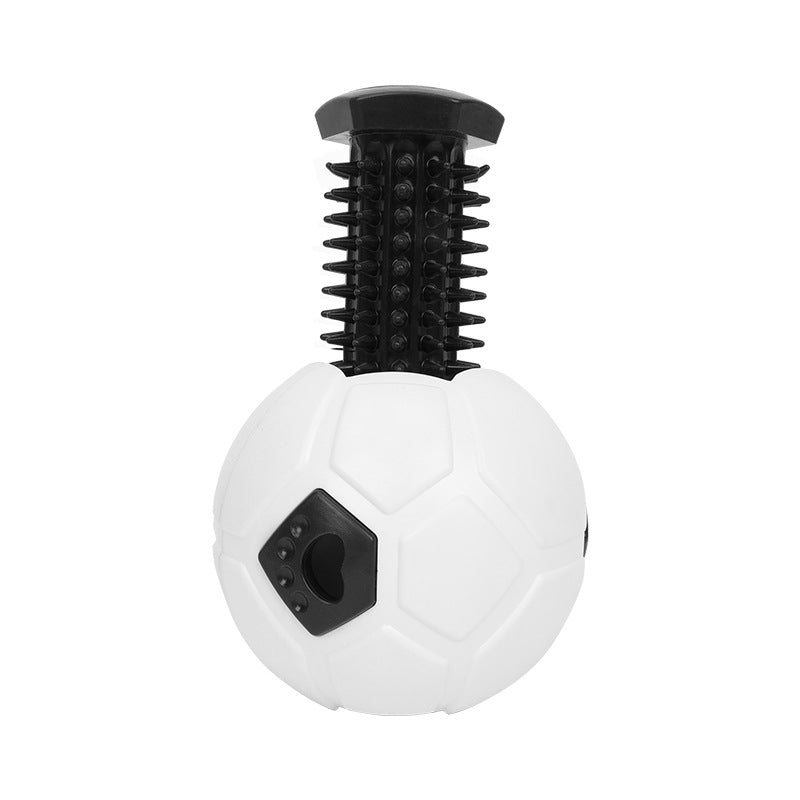 Zahnpflege-Spielball für Hunde