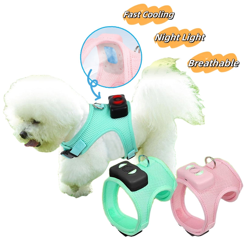 Hunde-Kühlgeschirr mit LED-Licht – Bild 9 | LuxeStyle