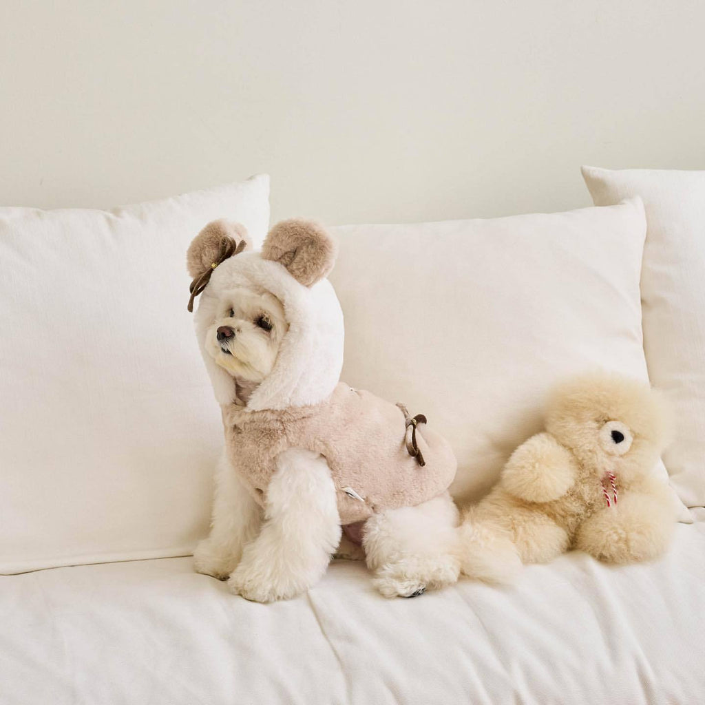 Warme Kleidung für Hund & Katze