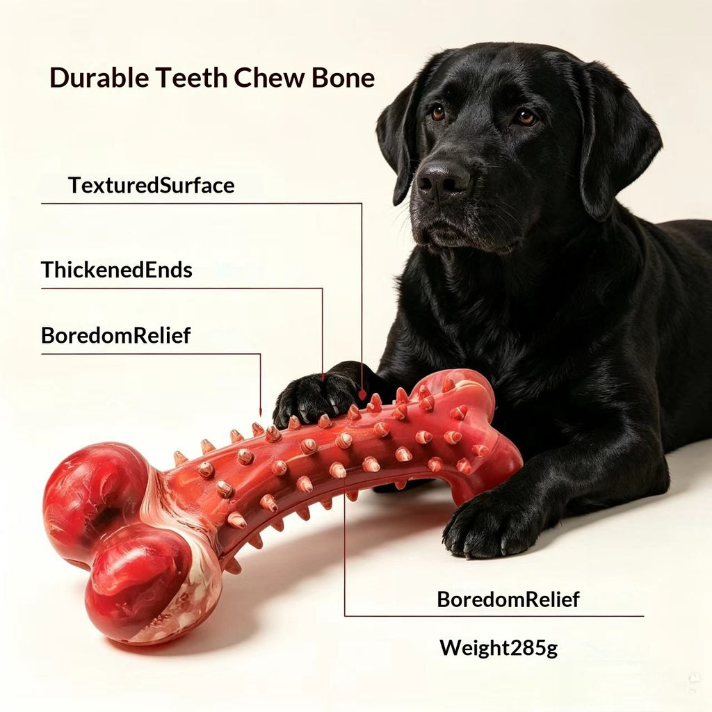 Hundeknochen-Kauspielzeug mit Noppen – Bild 2 | LuxeStyle