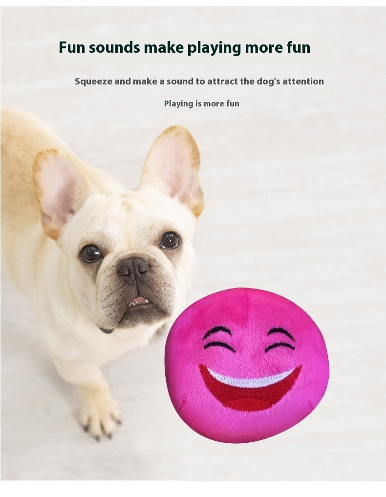 Interaktiver Puzzle-Spielball für Hunde