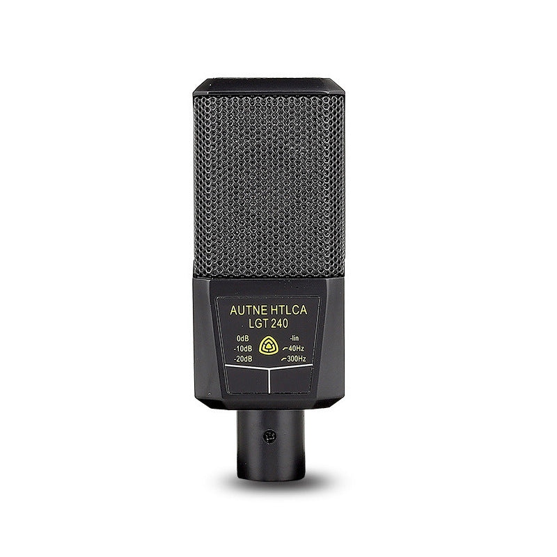 Kondensator-Mikrofon-Set mit Soundkarte