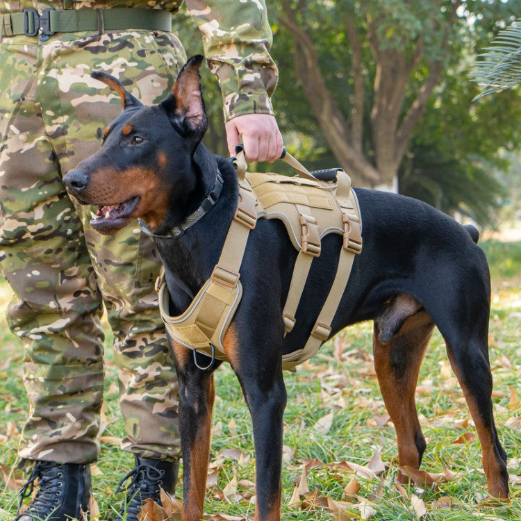 Taktisches Hundegeschirr mit Leine, reflektierend