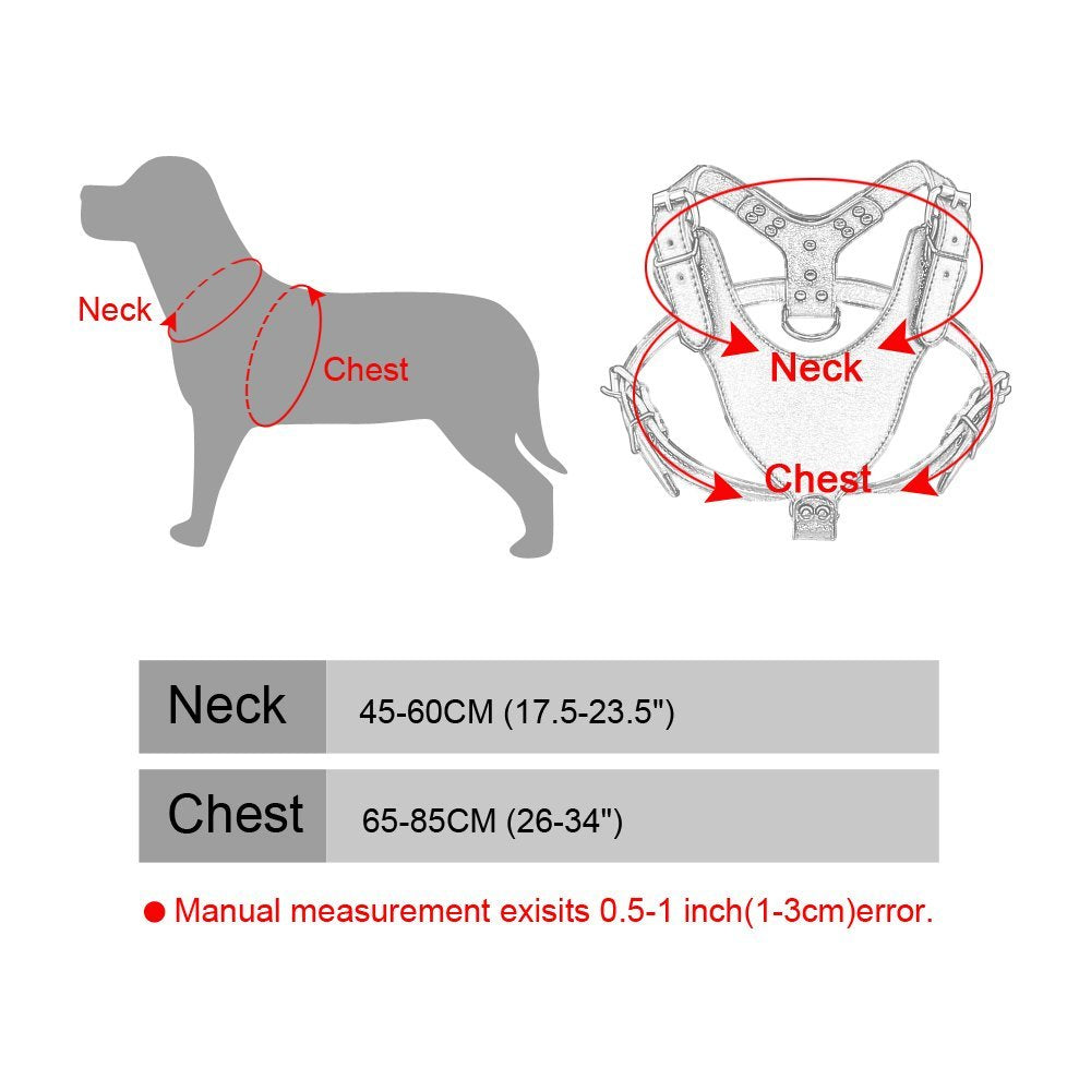 Hundegeschirr mit Nieten – Bild 10 | LuxeStyle