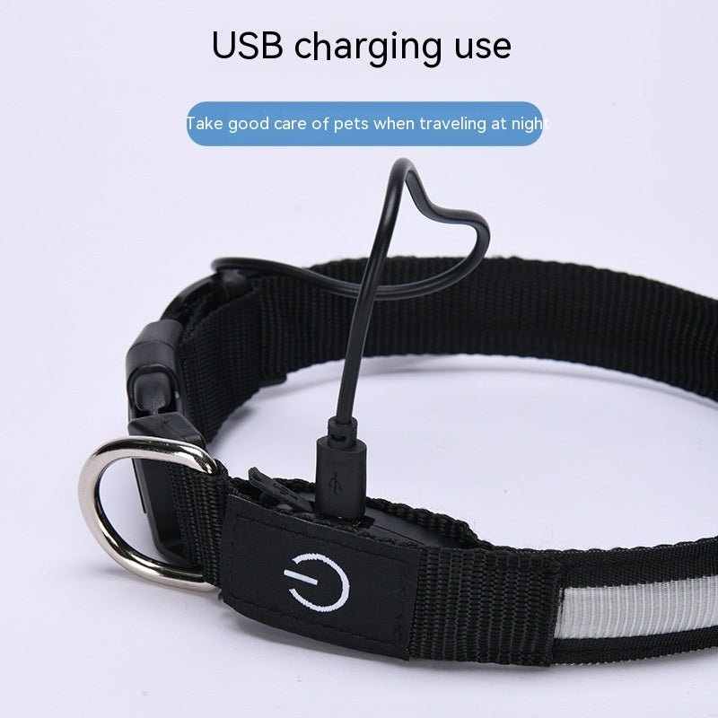 Leuchthalsband mit USB-Ladefunktion – Bild 1 | LuxeStyle