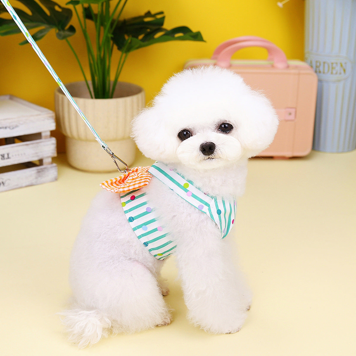 Gestreiftes Hunde-Geschirr mit Schleife – Bild 3 | LuxeStyle